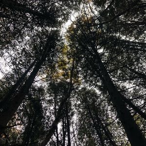 Meet your Posher, Skylar